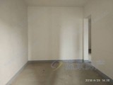 臨近長江，一線江景房，毛坯三居室，證滿兩年，隨時(shí)看房